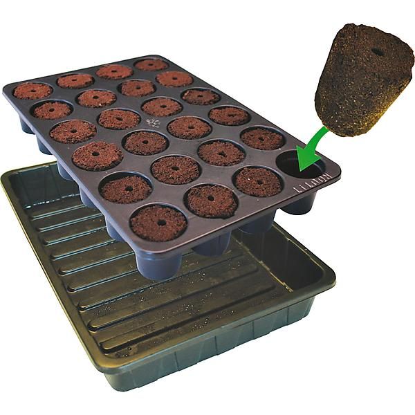 PLATEAU avec 24 mottes ROOT!T