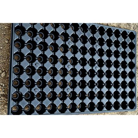 PLAQUES de SEMIS-BOUTURAGE RÉCUPÉRABLES 104 alvéoles de 3,2 cm de Ø