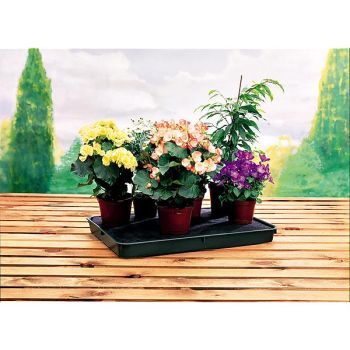 PLATEAUX à ARROSAGE AUTOMATIQUE LARGE