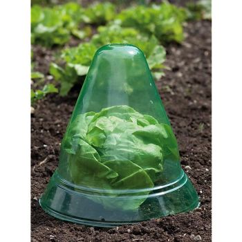 CLOCHES de PROTECTION