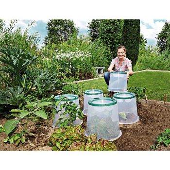 CLOCHE de CULTURE SUNNY