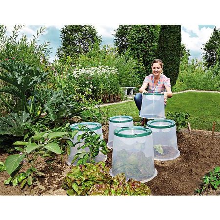 CLOCHE de CULTURE SUNNY