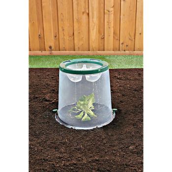 CLOCHE de CULTURE SUNNY 2