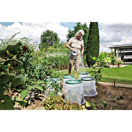 CLOCHE de CULTURE SUNNY