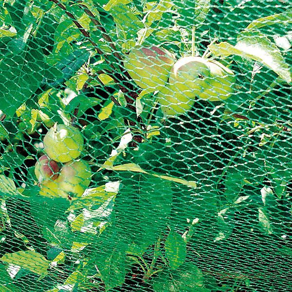 FILET de PROTECTION pour FRAISES et PETITS FRUITS
