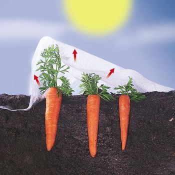 VOILE de CROISSANCE 2 x 5 mètres en 17 g/m² 2