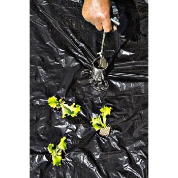 CLOCHE PERFORATRICE à MANCHE de 60 mm de Ø 2