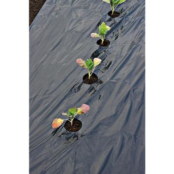 FILM de PAILLAGE GROS LÉGUMES