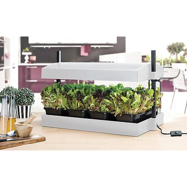 STATION de GERMINATION 2 TUBES LED de 16 Watts
