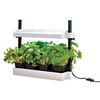 MICRO PROPAGATEUR LUMINEUX