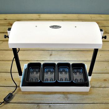 MICRO PROPAGATEUR LUMINEUX 2