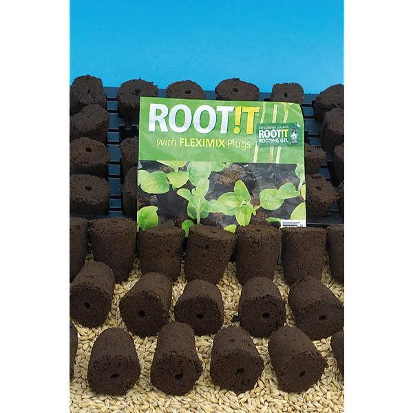 MOTTES ROOT!T