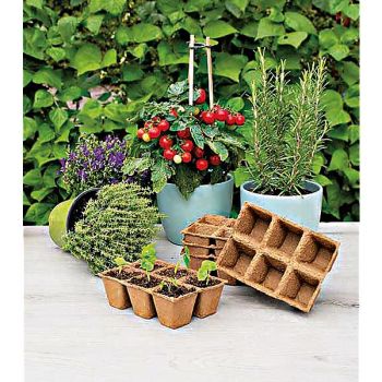 84 POTS CARRÉS de 5 cm de côté