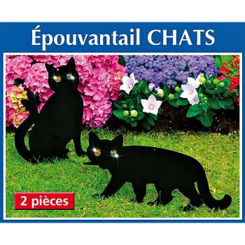 ÉPOUVANTAILS CHATS