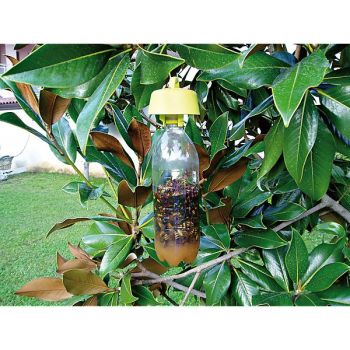 BIO PIÈGES CHROMOGÉNIQUES TAP TRAP®