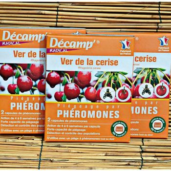 PHÉROMONE contre le VER de la CERISE