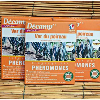 PHÉROMONE contre le VER du POIREAU