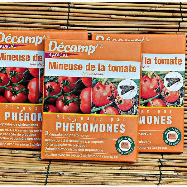 PHÉROMONE contre la MINEUSE de la TOMATE