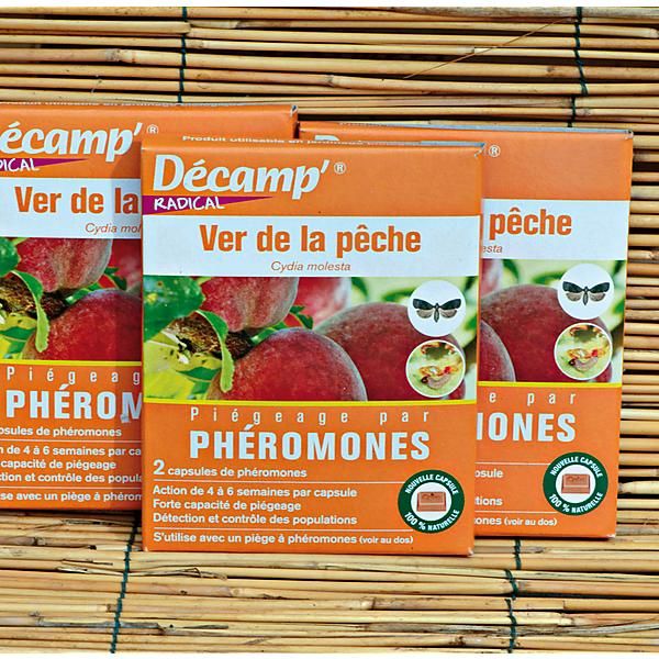 PHÉROMONE contre le VER de la PÊCHE