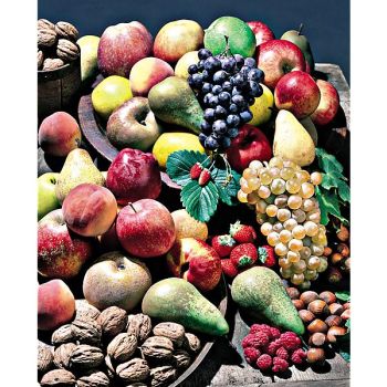 ENGRAIS ARBRES FRUITIERS 2