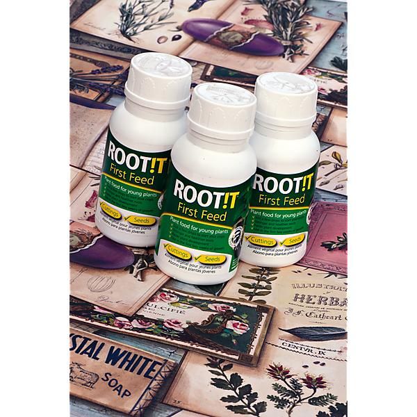 ROOT!T FIRST FEED