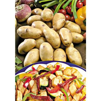 POMME de TERRE BELLE de FONTENAY