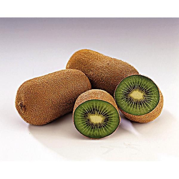 KIWI (actinidia deliciosa) femelle KORYOKU