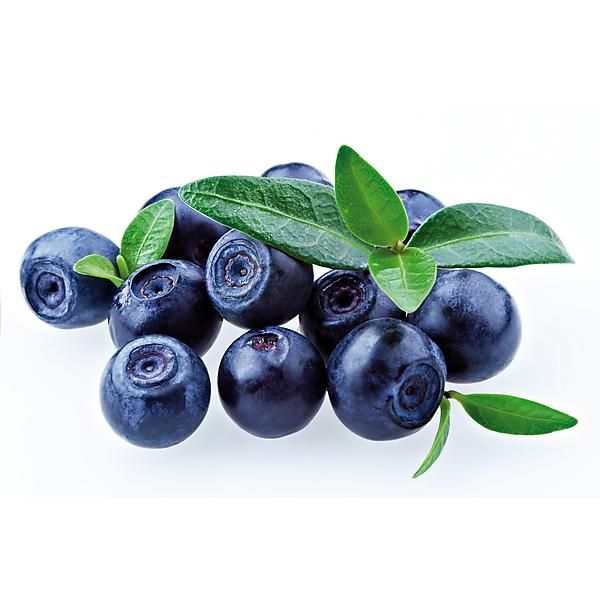 MYRTILLIER BLUECROP