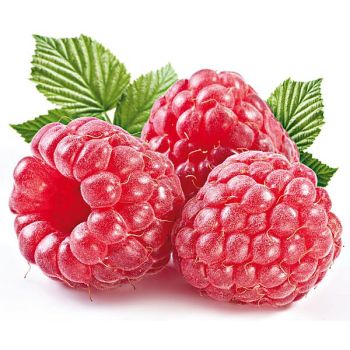 FRAMBOISIER VERSAILLES 2