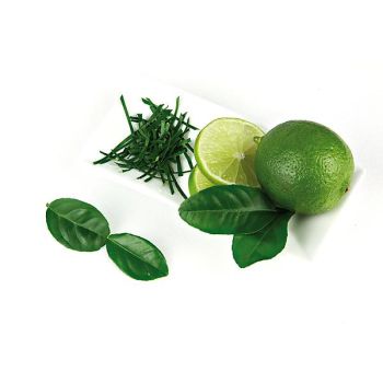 COMBAVA ou KAFFIR (citrus hystrix)