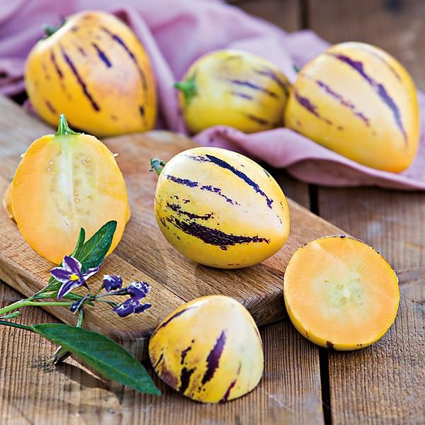 POIRE-MELON ou PEPINO COPA®