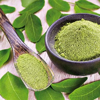 MORINGA OLEIFERA ou ARBRE MIRACULEUX 2