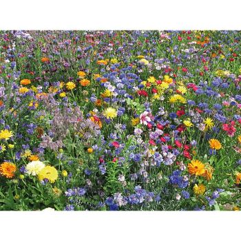 MÉLANGE TAPIS MÉDIÉVAL