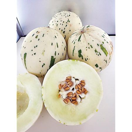 MELON F1 SNOW LEOPARD