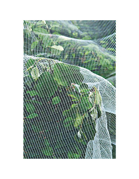 Filet De Protection Et Support Pour Plantes – Maille élastique 90x90cm Pour Légumes, Fruits, Fleurs