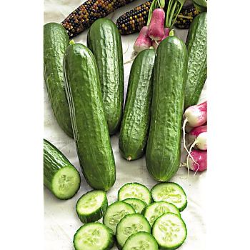 CONCOMBRE F1 LISBOA 2