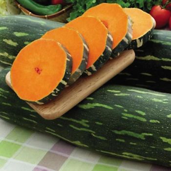 COURGE musquée VESUVIANA 2