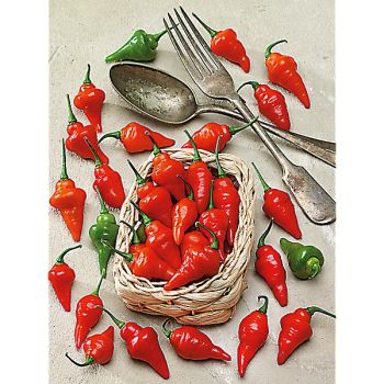 PIMENT CHUPETINHO (c. chinense)