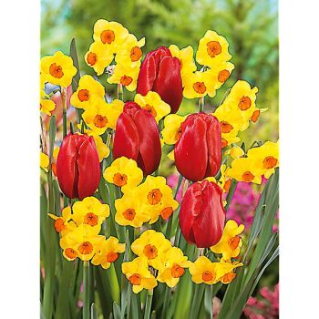 SENTEUR PRINTANIÈRE 2