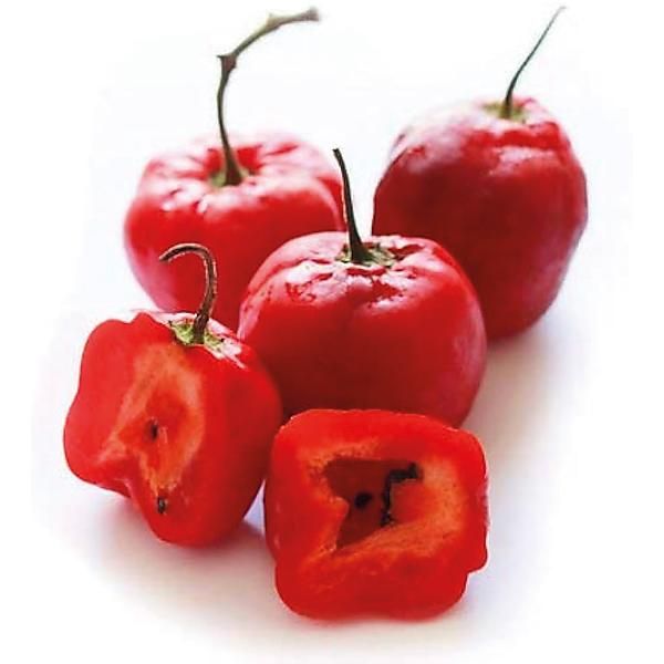 PIMENT ROCOTO (c. pubescens)