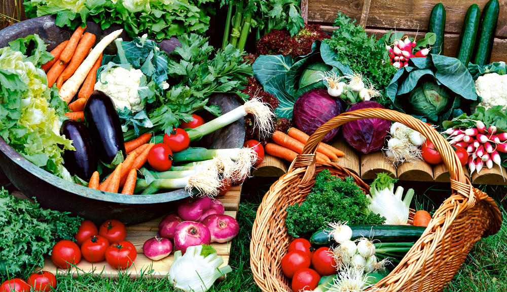 Graines potagères : Semences pour le potager et potager et verger