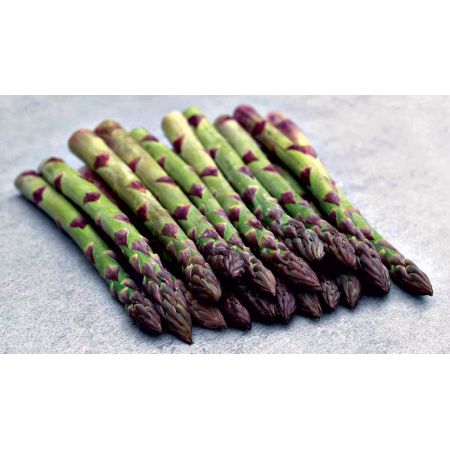 GRAINES d'ASPERGES