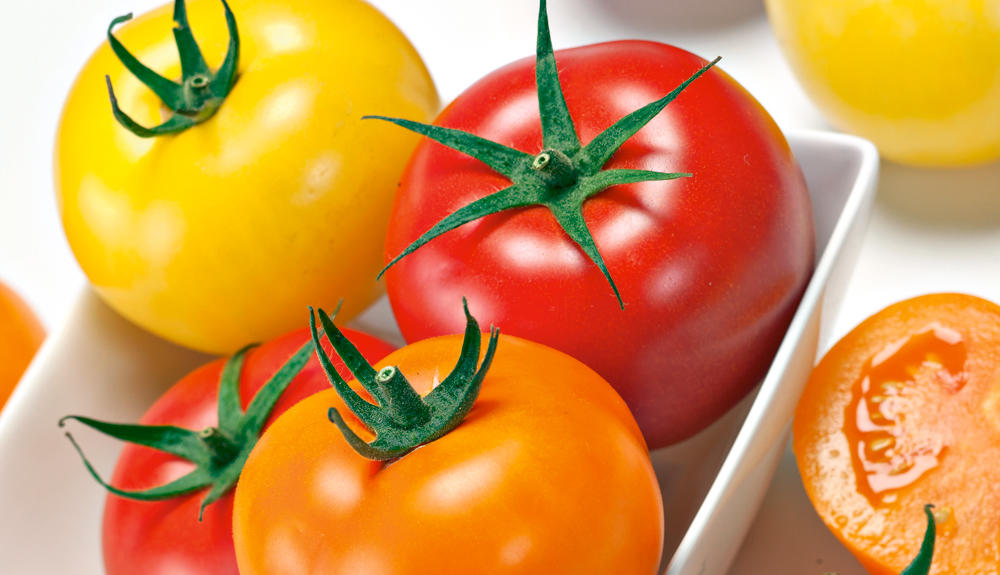 Graines de Tomates | Un large choix de Semences en ligne