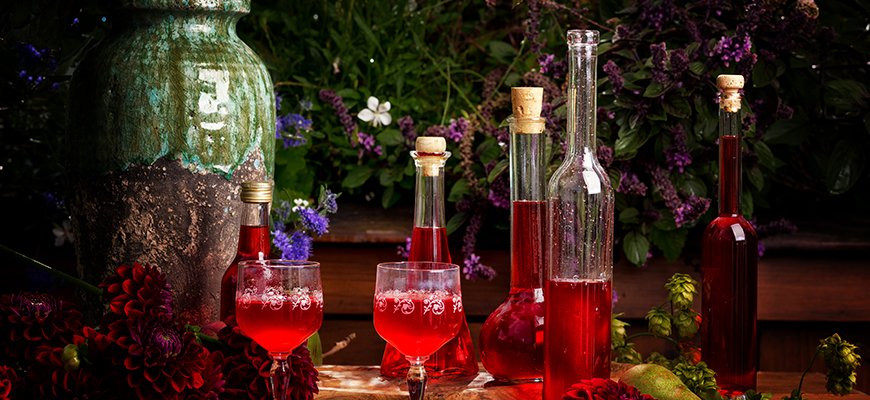 Liqueur de dahlia