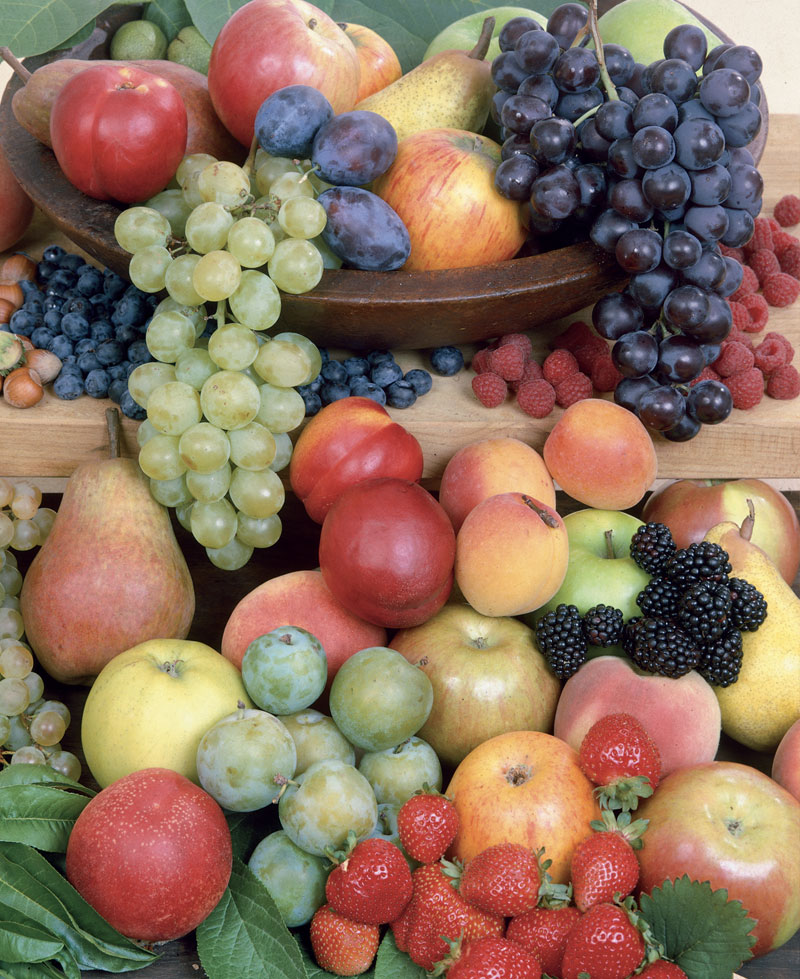 Plantez vos fraisiers