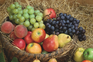Vente flash de Fruitiers & Petits Fruits - Du 22 novembre au 3 décembre 23h00