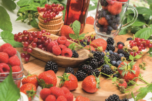 Vente flash de Fruitiers & Plantes Aromatiques - Du 8 au 14 mai 23h00