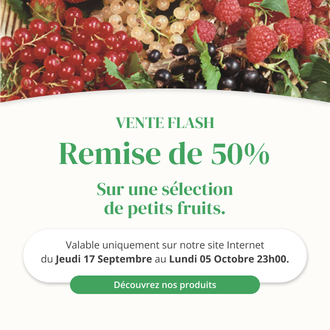 Vente flash sur une sélection de petits fruits - Du 17 septembre au 05 octobre 23h00