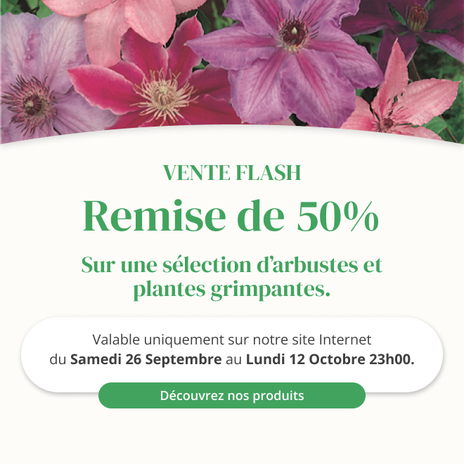 Vente flash sur une sélection d'arbustes et plantes grimpantes - Du 26 septembre au 12 octobre 23h00