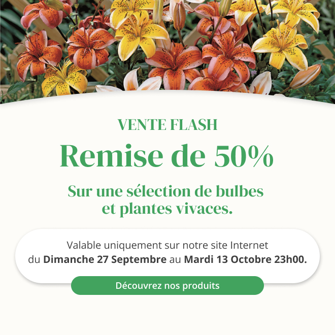 Vente flash sur une sélection de bulbes et plantes vivaces - Du 27 septembre au 13 octobre 23h00